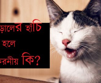 cat sneez বা বিড়ালের হাঁচি