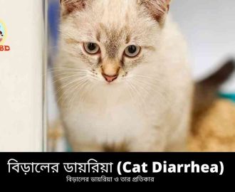 বিড়ালের ডায়রিয়া (Cat Diarrhea) ও তার প্রতিকার