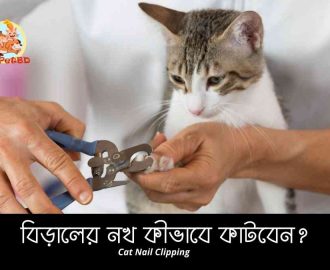 বিড়ালের নখ কীভাবে কাটবেন Cat Nail Clipping
